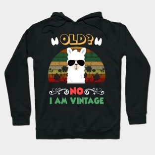 Old No I am Vintage Funny Llama Hoodie